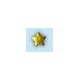 18K gold -star-